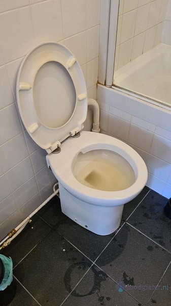  verstopping toilet Waddinxveen